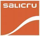 Стабилизаторы напряжения SALICRU